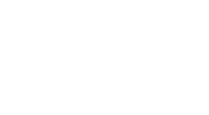 logo_resized_3_297x164